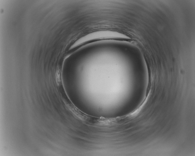 X0000069360190200605192107