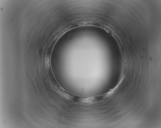 X0000069360191200605192107