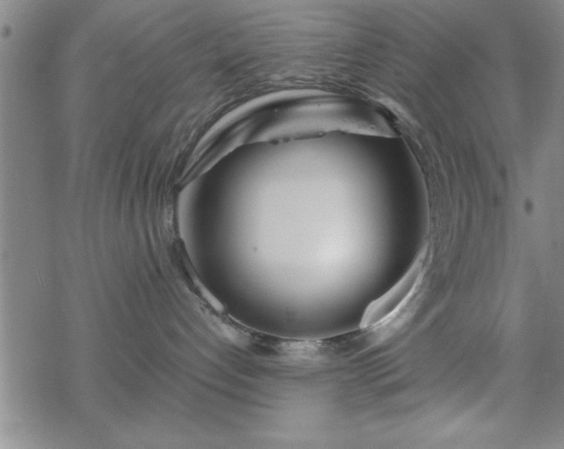 X0000069360192200605192107