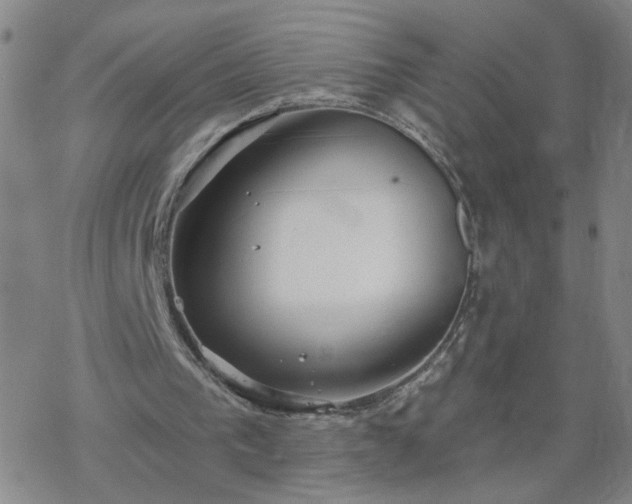 X0000069360193200605192107