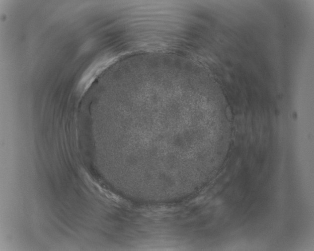 X0000069360194200605192107