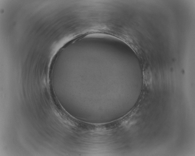 X0000069360196200605192106