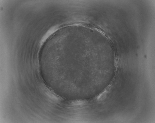 X0000069360198200605192106