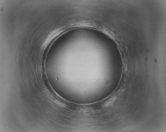 X0000069360199200605192106