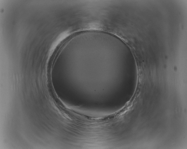 X0000069360200200605192106