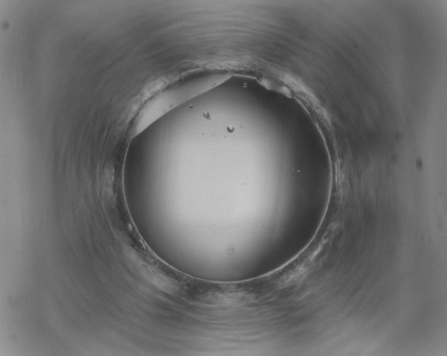 X0000069360201200605192106