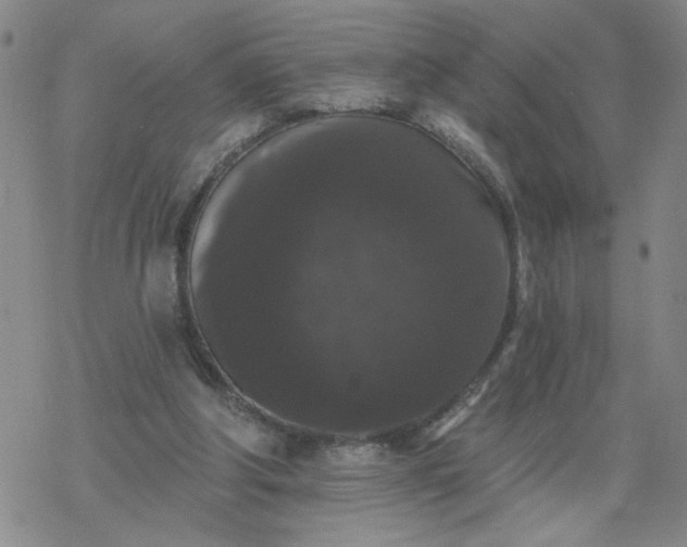 X0000069360202200605192106