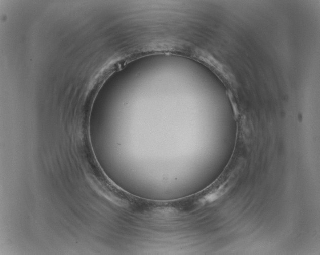 X0000069360203200605192106