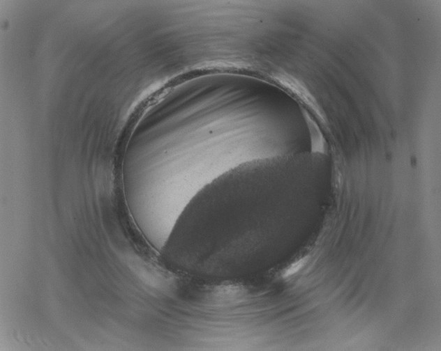 X0000069360204200605192106