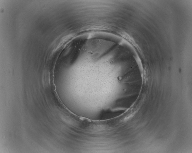 X0000069360205200605192106