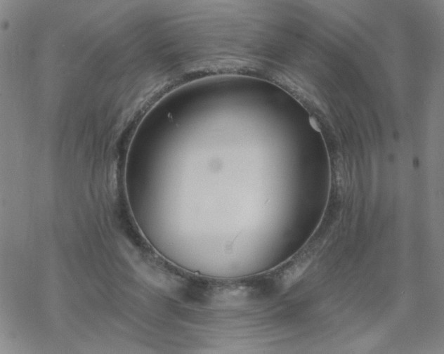 X0000069360206200605192106