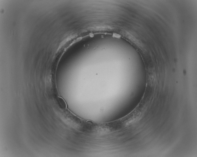 X0000069360207200605192106