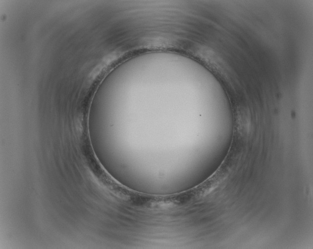 X0000069360208200605192106