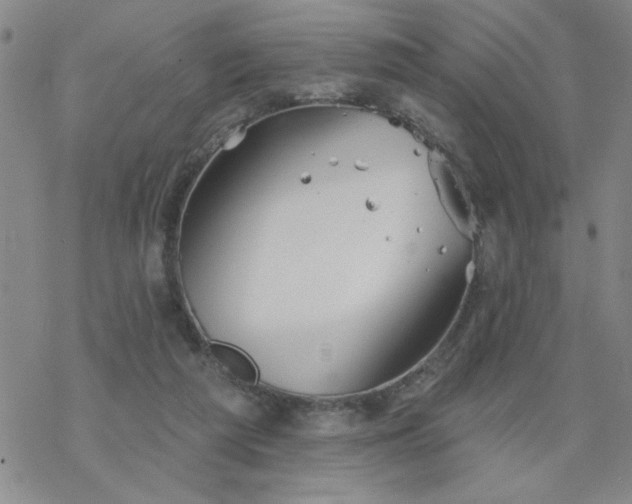 X0000069360209200605192106