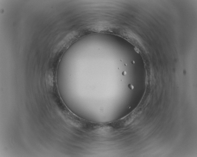 X0000069360210200605192106