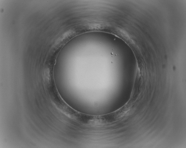 X0000069360211200605192106