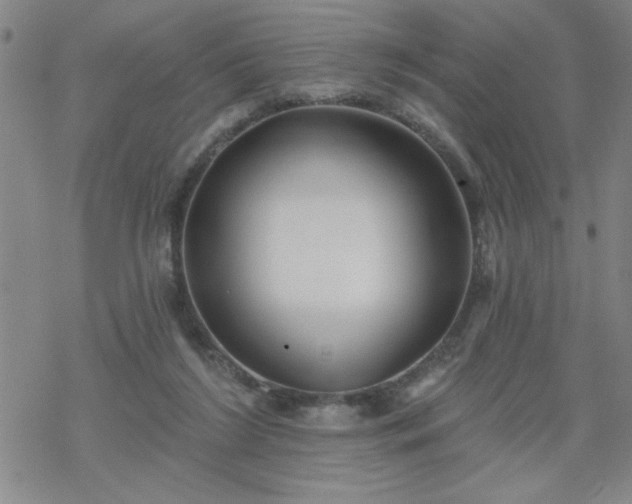 X0000069360212200605192106