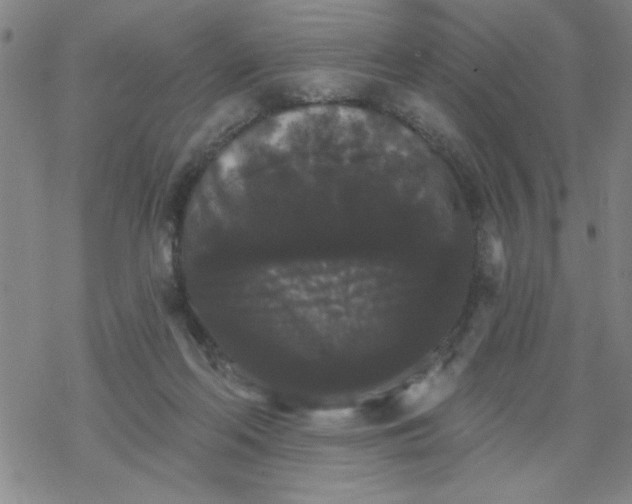 X0000069360214200605192106