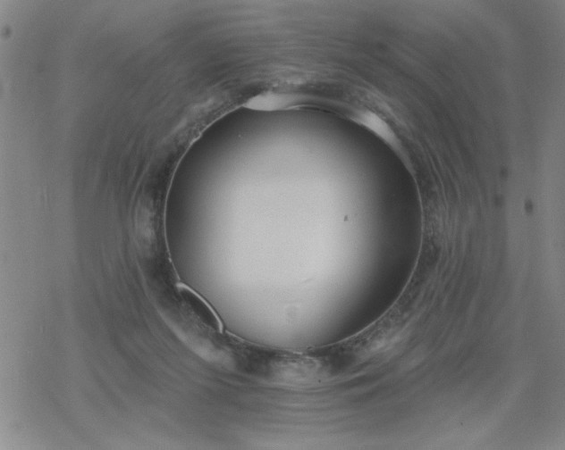 X0000069360215200605192106