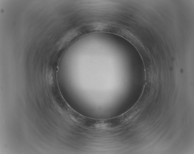 X0000069360216200605192106