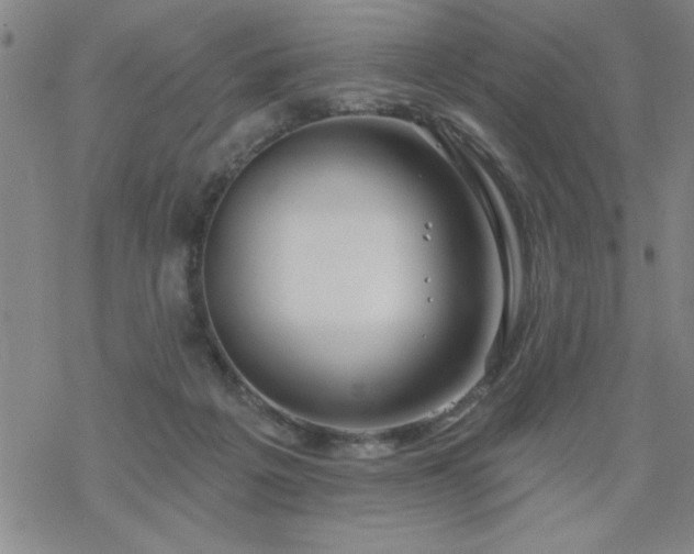 X0000069360217200605192106