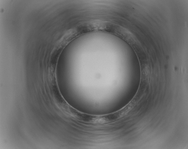 X0000069360218200605192106