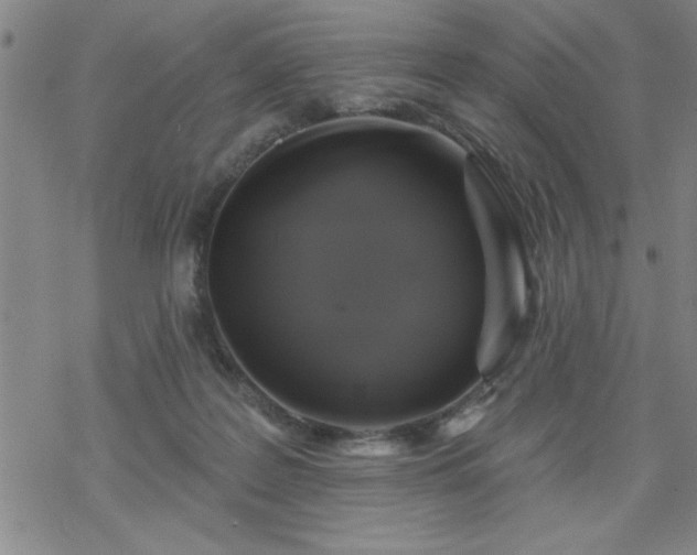 X0000069360219200605192106