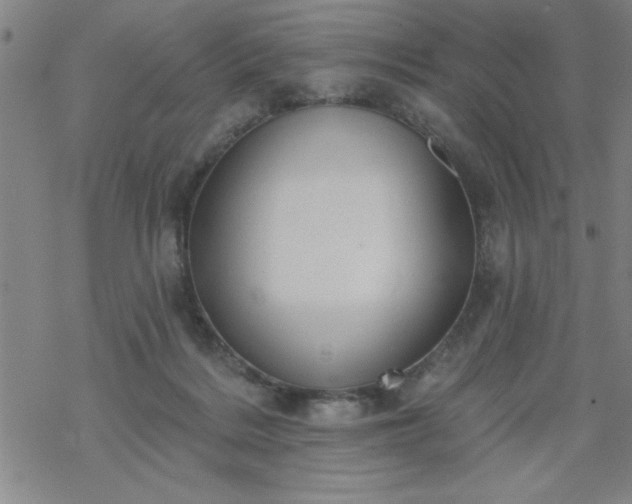 X0000069360220200605192106