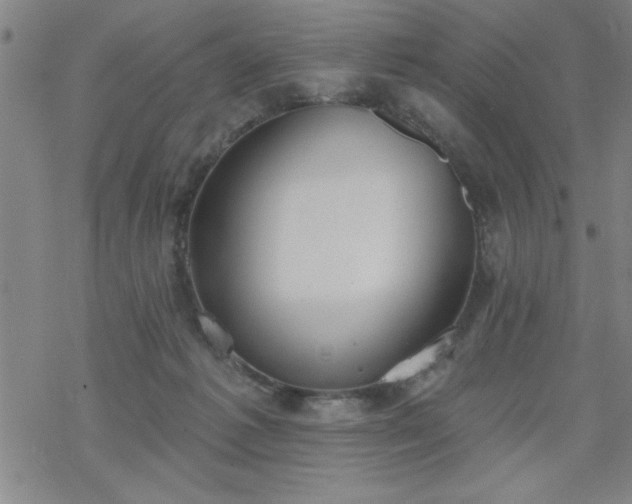 X0000069360221200605192106