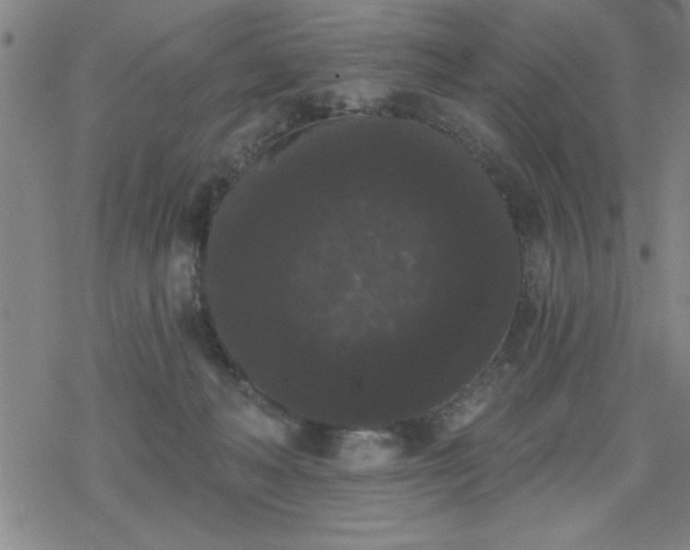 X0000069360222200605192106