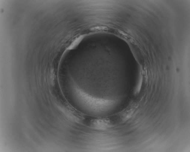 X0000069360223200605192106