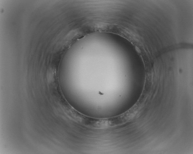 X0000069360225200605192106