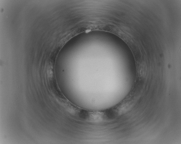 X0000069360226200605192106