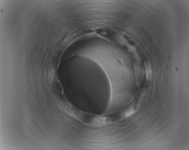 X0000069360227200605192106