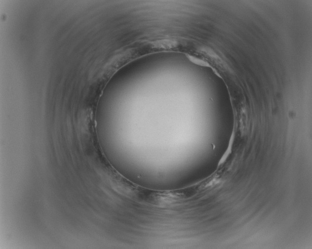 X0000069360229200605192106