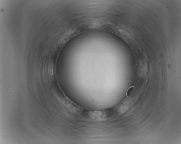 X0000069360230200605192106