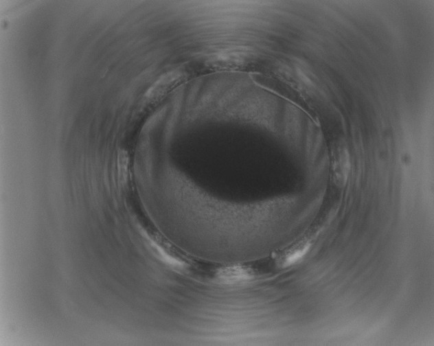 X0000069360231200605192106