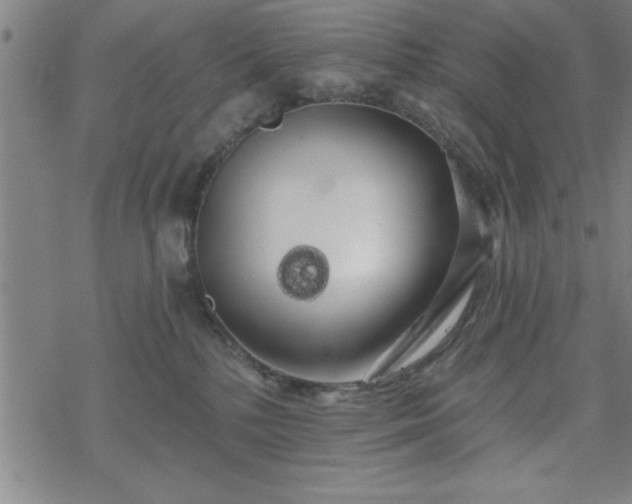 X0000069360232200605192106