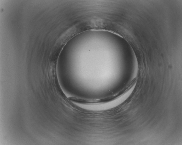 X0000069360233200605192106