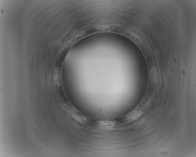 X0000069360234200605192106