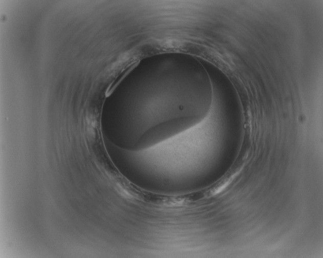 X0000069360235200605192106