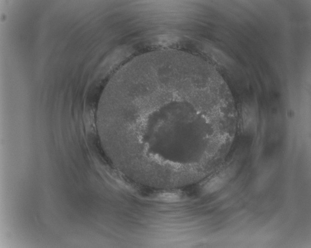 X0000069360236200605192106