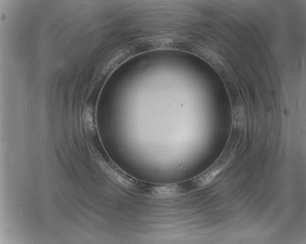 X0000069360238200605192106