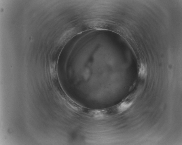 X0000069360239200605192106