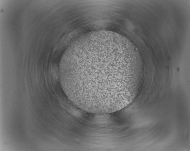 X0000069360240200605192106