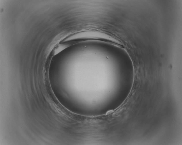 X0000069360242200605192105