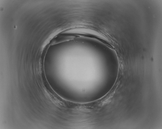 X0000069360244200605192105