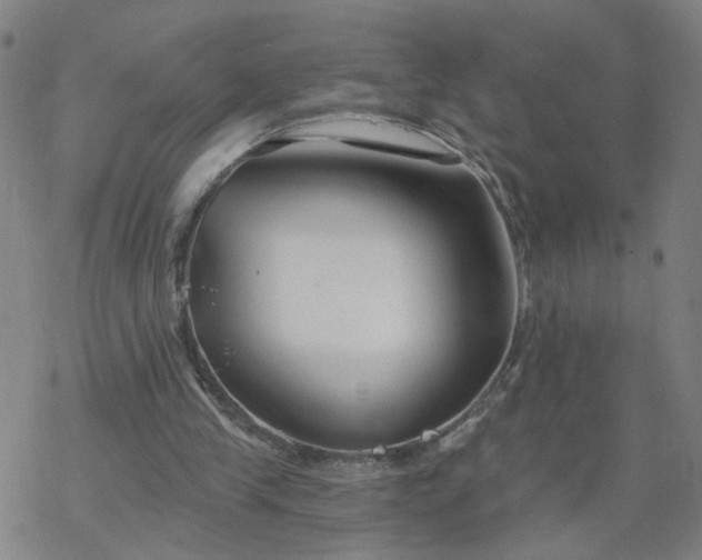 X0000069360245200605192105