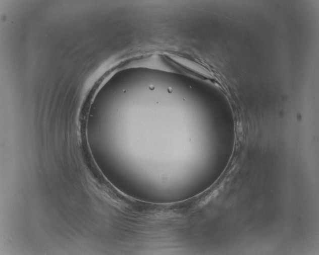 X0000069360246200605192105