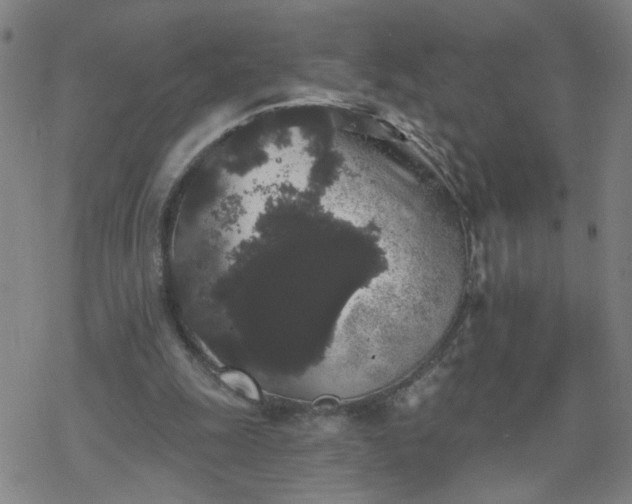 X0000069360247200605192105